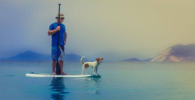 Fem ting din far burde have fortalt dig om paddleboard