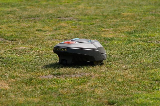 Robotteknologi gør det nemt at holde badebassin og græsplæne i topform