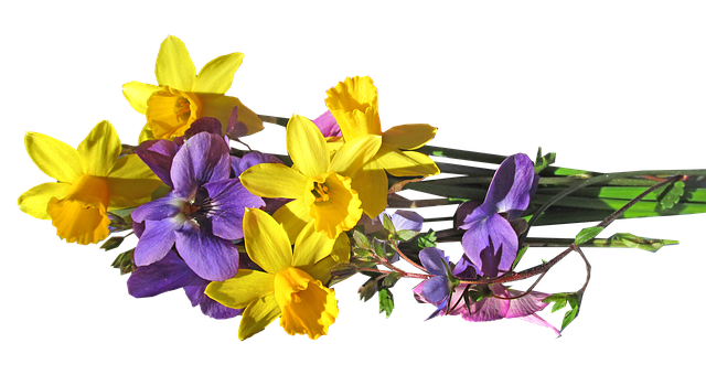 Påskeliljer i madlavningen: Opskrifter med den smukke forårsblomst
